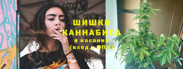 молекула духа Армянск