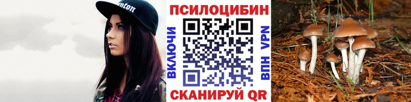 Галлюциногенные грибы мухоморы  Козьмодемьянск 
